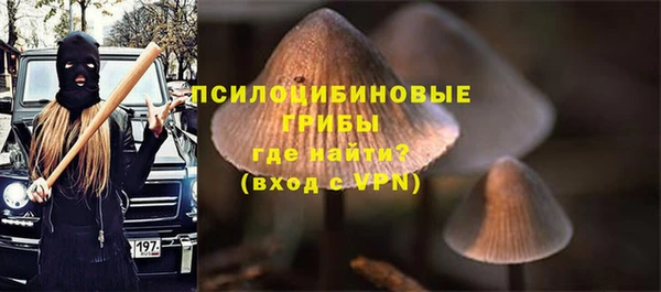 a pvp Беломорск