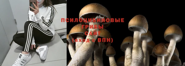 амф Белокуриха